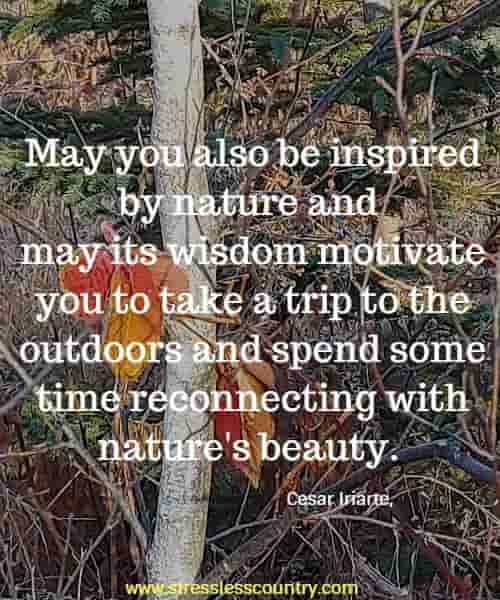 May you also be inspired by nature and may its wisdom motivate you to take a trip to the outdoors and spend some time reconnecting with nature's beauty.
